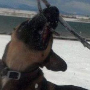 Meet your Posher, Dawn